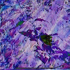 Bleedin x edgykorean.(Prod. Tsurreal)