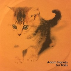 Adam Harwin - Fur Balls