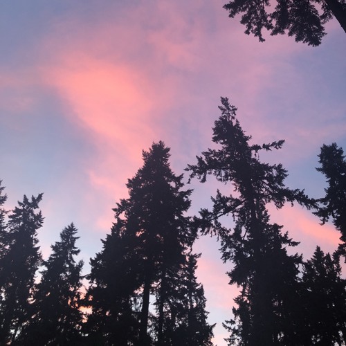 skyline (feat. wy¿)