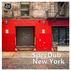 Specdub - New York (Plastic City)_Terry Lee Brown Junior_BDTom_Forteba_Diolenmobi_Manuel Romero