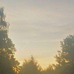 Loki, der Ergraute -- Der Nach-Con-Blues