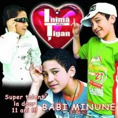 Babi Minune - Inima de Tigan