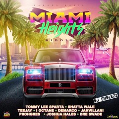 Miami Heights Riddim Mix