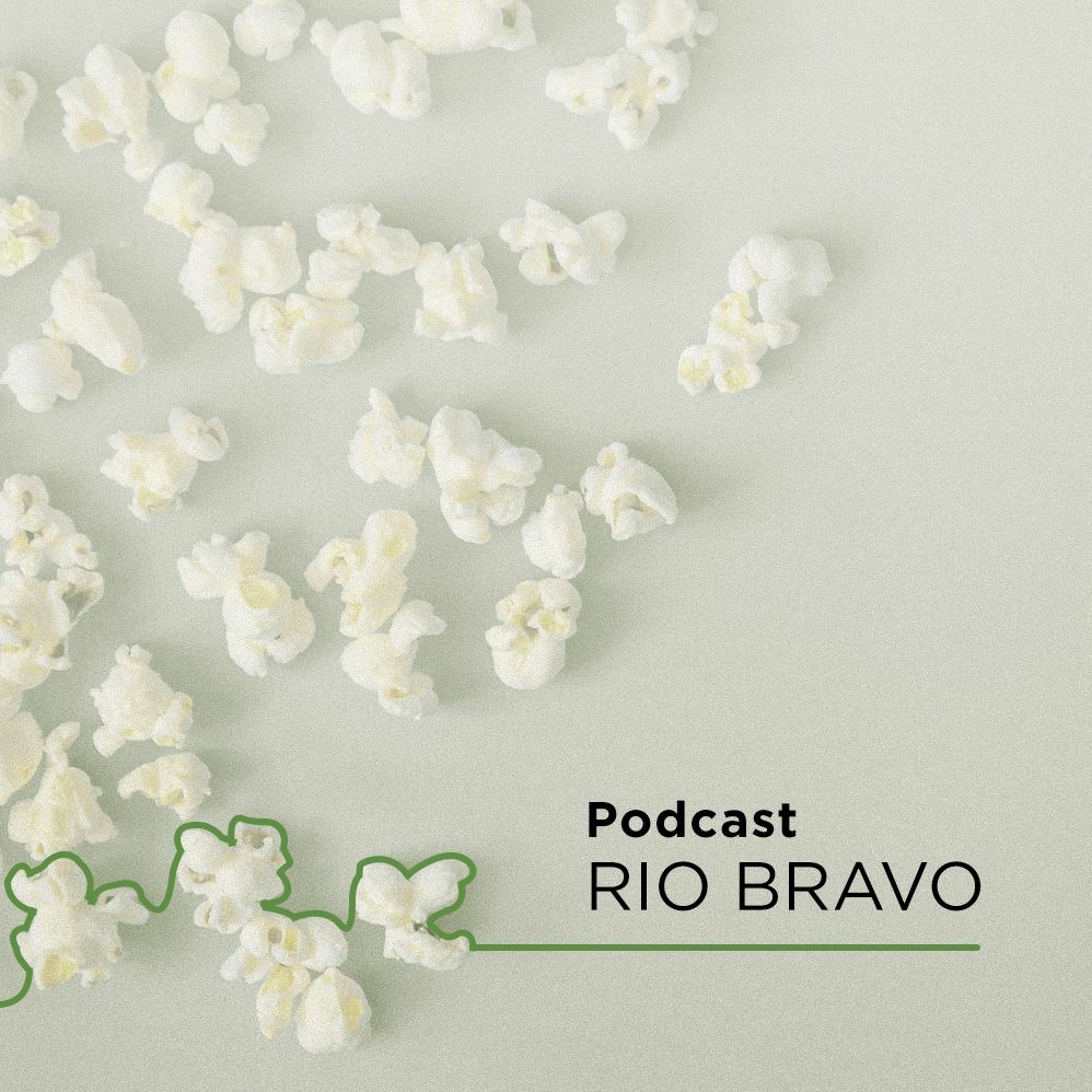 Podcast 553 – Laís Bodanzky – Spcine, a empresa de audiovisual de São Paulo episode artwork