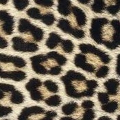 Ben.Air - August 2019