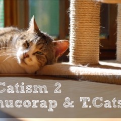 Catism 2 / nucorap & T.Cats