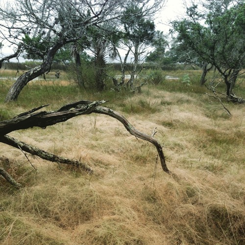 JAX204 - Goodbye Anxiety