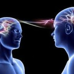 535 X Waluk - Comedown