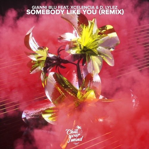 Gianni Blu Ft. Xcelencia & D. Lylez - Somebody Like You (Remix)