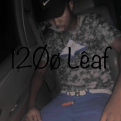 Reincarnated Memories