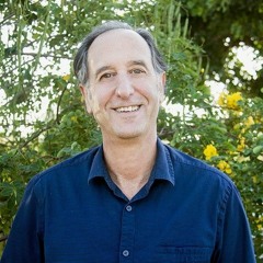 20-Min Body Scan by Allan Goldstein