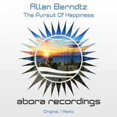 Allan Berndtz - The Pursuit of Happiness (Radio Edit)