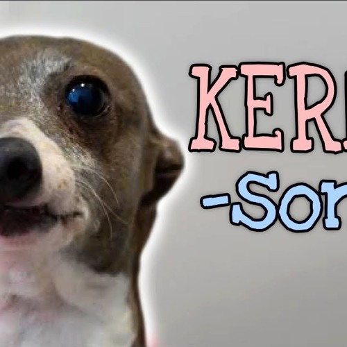 A Song For Kermit (Day By Dave)
