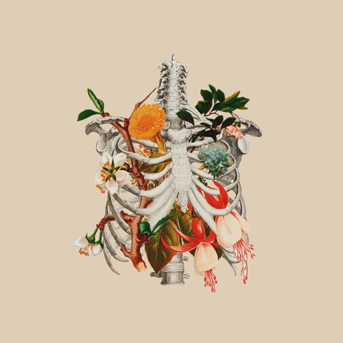 Intu The Cocuun (overstanding)