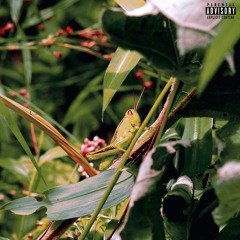 Lime T (Prod. by THELATERPEOPLE)