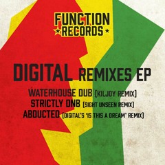 Digital - Waterhouse Dub (Kiljoy Remix)