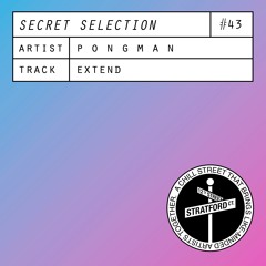 P O N G M A N - Extend [Secret Selection]