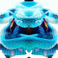 P 0 L Y C 3 P H 4 L Y