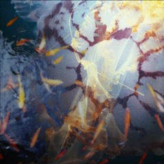 Neü Beginnings [2017]