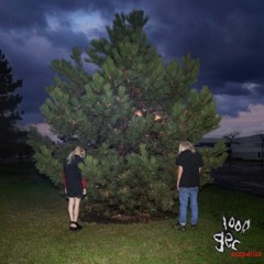 100 gecs - 1000 Gecs Acapella