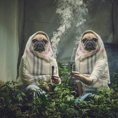 [BEATS] Charodey Jeddy - Smoke