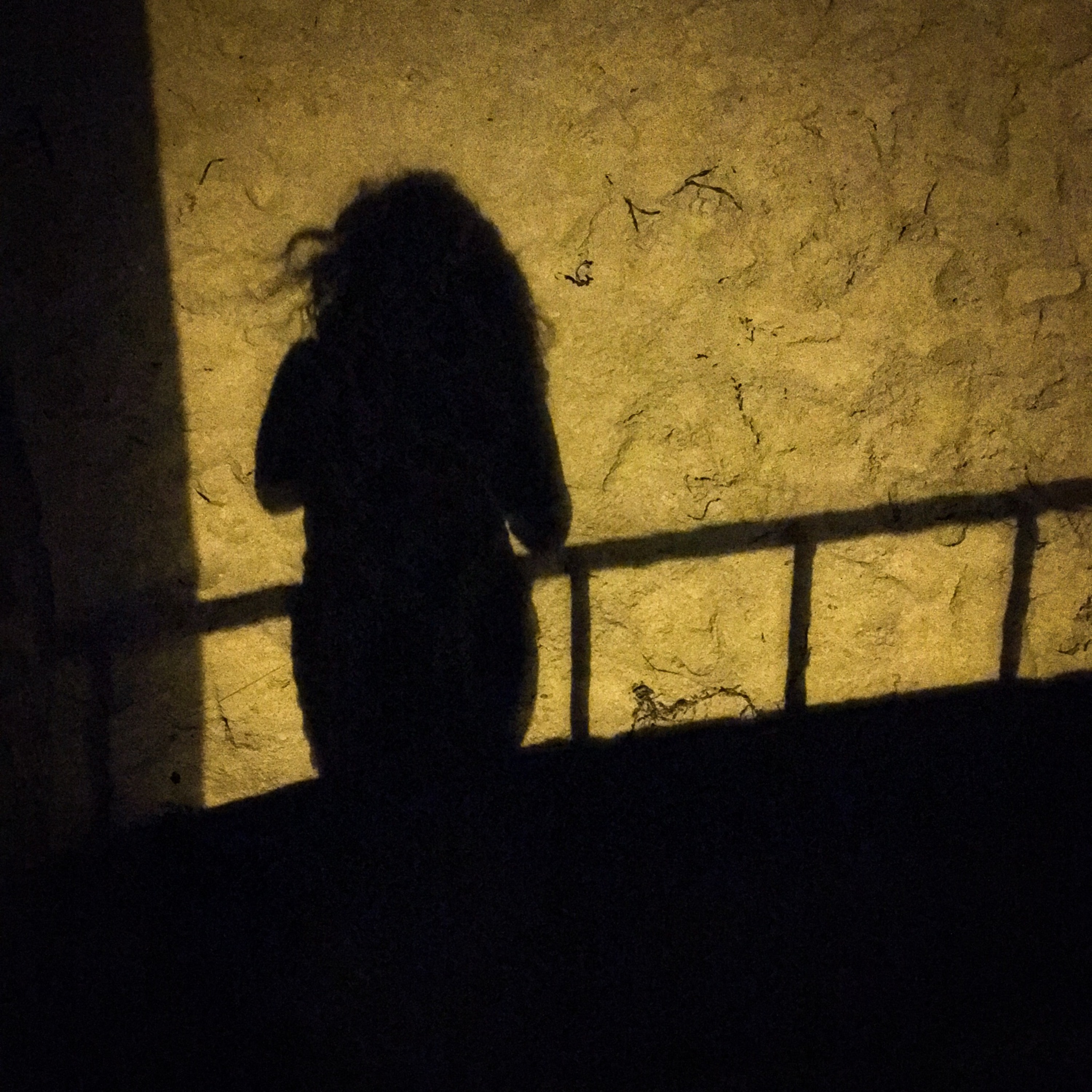 The Whole Of The Law disquiet0397 episode artwork