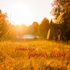 Summer Diary