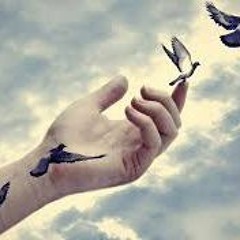 High Flying Bird