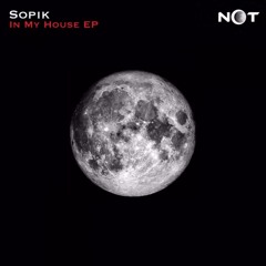 Sopik - Future Dancefloor (Original Mix)