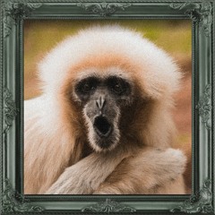 TAPE #002 - Groovy Gibbon