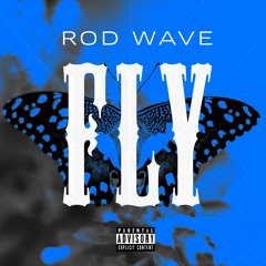 Rod Wave - Fly