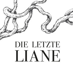 Schacht Reservat - Die letzte Liane Festival (27.07.2019)
