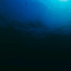 A Shadow In The Water