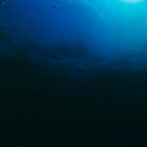 A Shadow In The Water