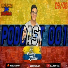 PODCAST 001 ( DJ WARLLEY LIBANO ) PIQUE COLÔMBIA