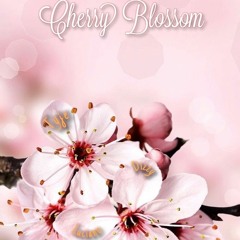 Cherry Blossom
