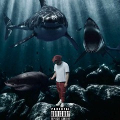 INTRO