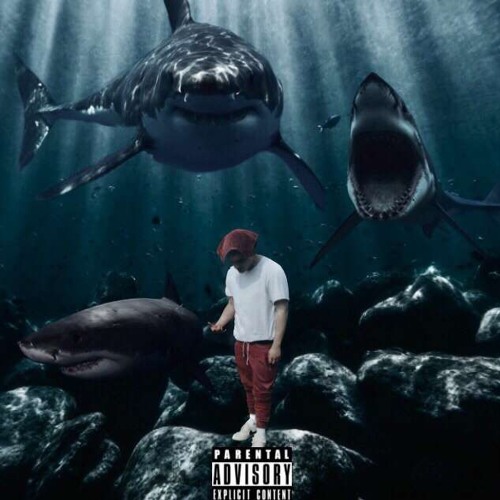 INTRO