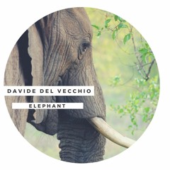 Davide Del Vecchio - Elephant (Short Edit)