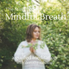 The Most Perfect and Simple 'Mindful' Breath: A Beautiful Guided Meditation