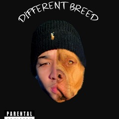 Big Dog (Eng. by RawQwlty)