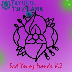 SAD YOUNG HANDS V.2 (prod. SHIMMYBOY)