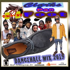 DJ DWAYNE H - CLARKS PON FOOT DANCEHALL 2019 MIX
