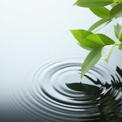 English August Monthly Narrative The Reality Of My Purity