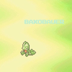 BAXO BAUER (PROD.LAWR3NCIAGA)