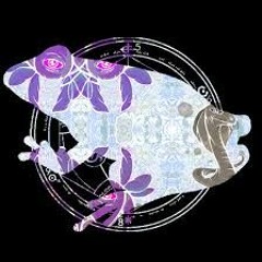 Frog song - Bassnectar