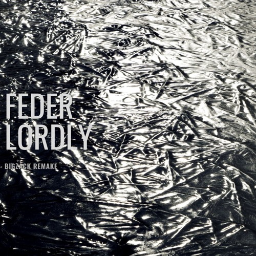 Stream Feder - Lordly by BIGZack | Listen online for free on SoundCloud