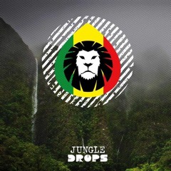 Dub Defense - The Day Is Coming (Forthcoming Jungle Drops)