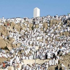 يوم عرفة | د. أحمد سيف الإسلام