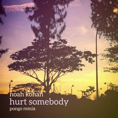 Noah Kahan - Hurt Somebody (Pongo Remix)